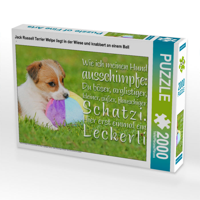 Jack Russell Terrier puppy lies in the meadow and nibbles on a ball - CALVENDO photo puzzle 