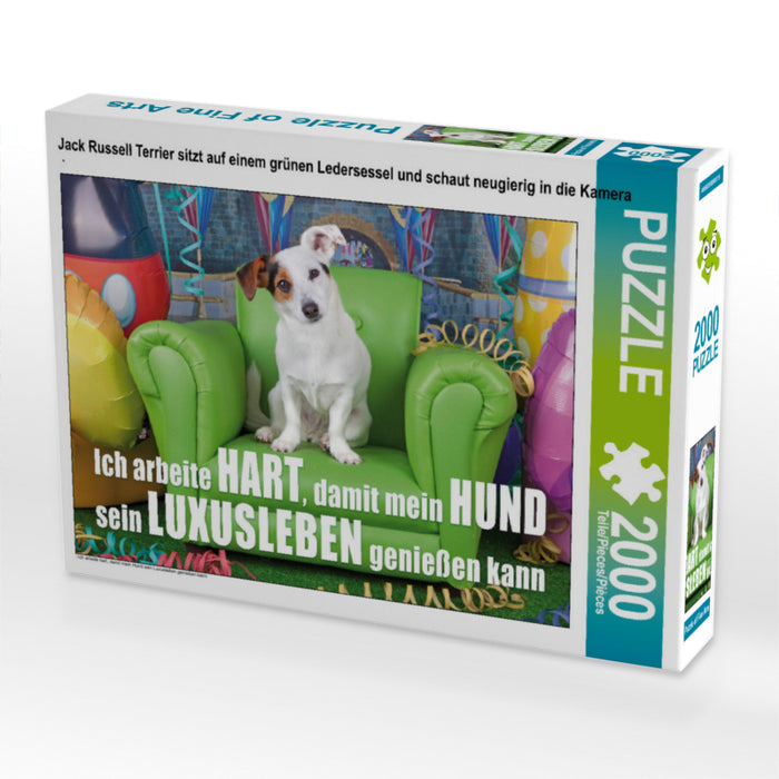 Jack Russell Terrier sitzt auf einem grünen Ledersessel und schaut neugierig in die Kamera - CALVENDO Foto-Puzzle