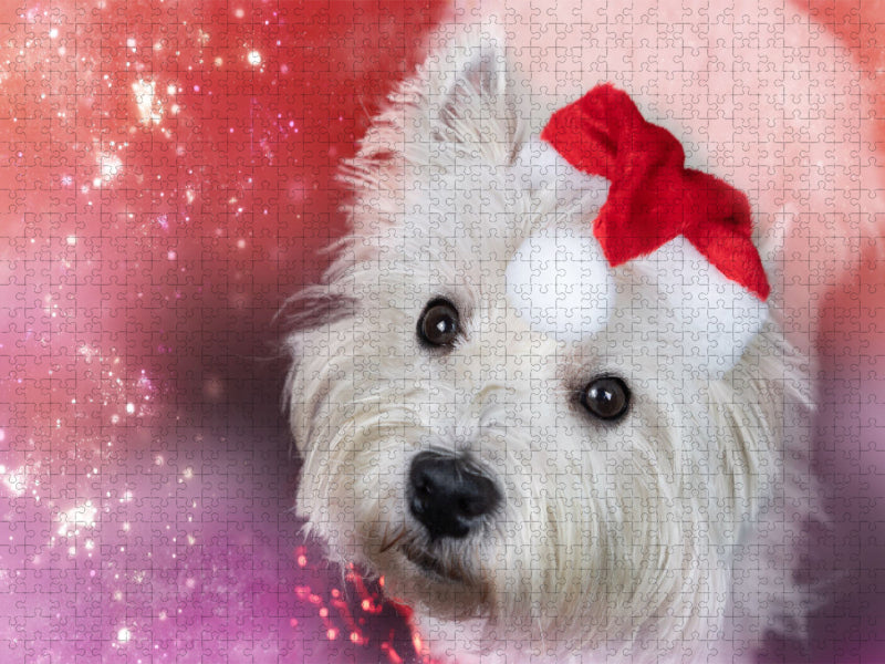 West Highland White Terrier wünscht frohe Weihnachten - CALVENDO Foto-Puzzle