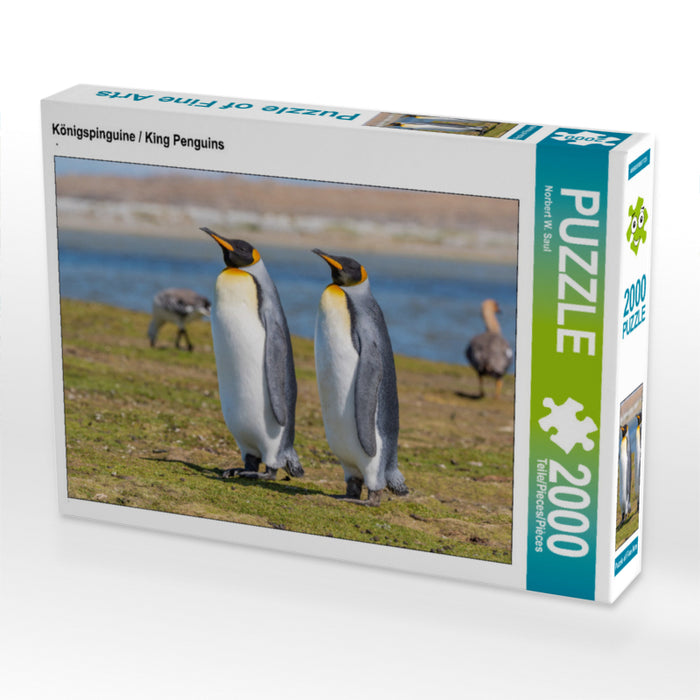 Königspinguine / King Penguins - CALVENDO Foto-Puzzle