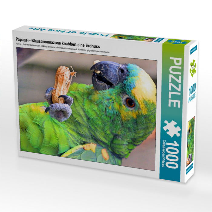 Papagei - Blaustirnamazone knabbert eine Erdnuss - CALVENDO Foto-Puzzle