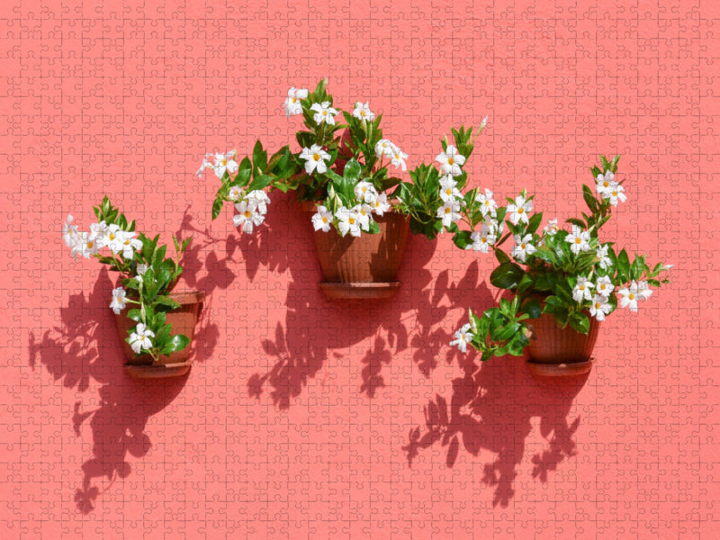 Blumen und Schatten - CALVENDO Foto-Puzzle