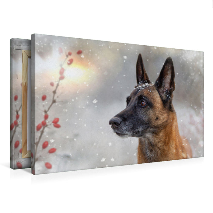 Premium textile canvas A motif from the calendar Malinois - partners on four paws 