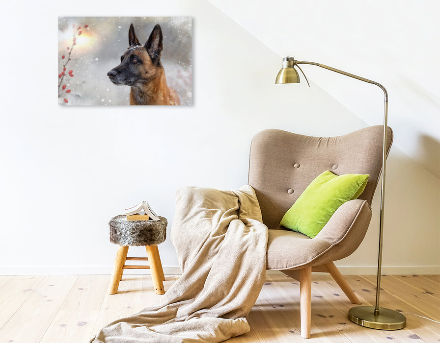 Premium textile canvas A motif from the calendar Malinois - partners on four paws 
