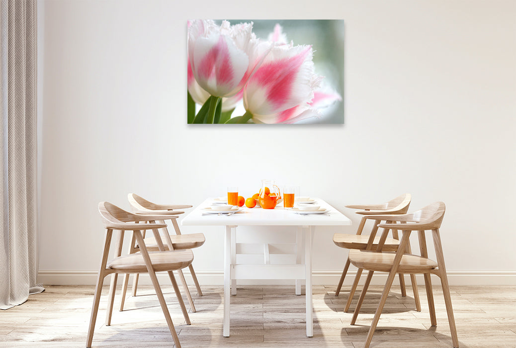 Premium textile canvas fringed tulips or Crispa tulips 