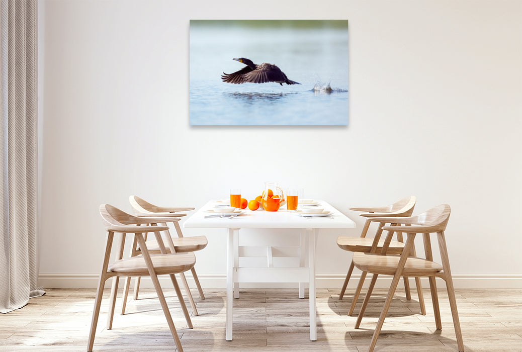 Premium textile canvas cormorant 