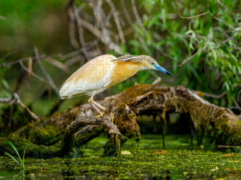 Ein Motiv aus dem Kalender Naturparadies Donau Delta - CALVENDO Foto-Puzzle'