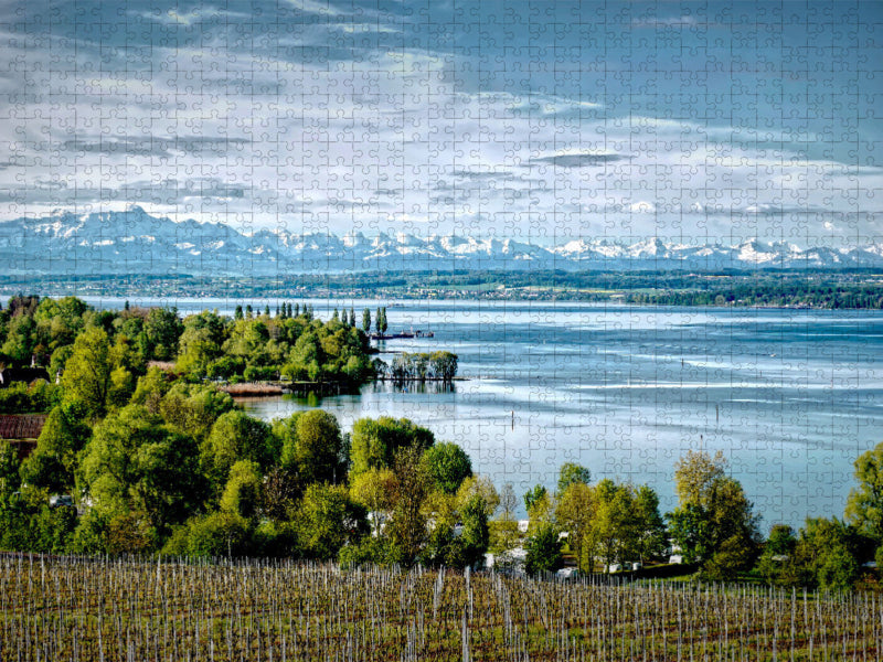 The year at Lake Constance - CALVENDO photo puzzle 