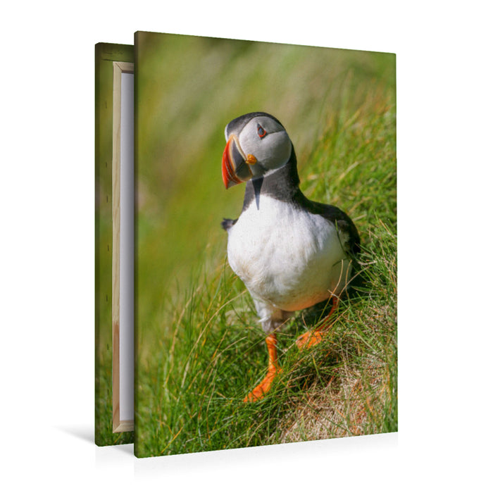 Premium textile canvas puffin 