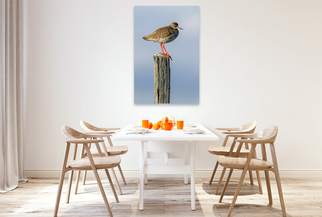 Premium textile canvas Sandpiper 