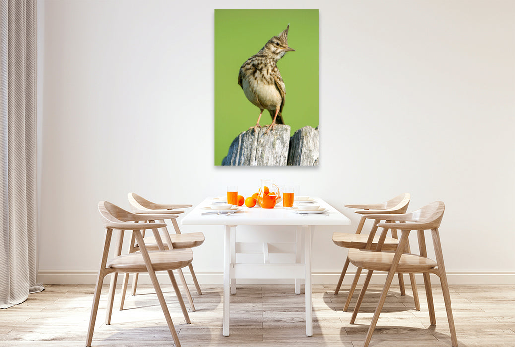 Premium textile canvas Crested Lark 