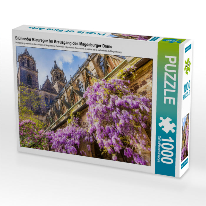 Blühender Blauregen im Kreuzgang des Magdeburger Doms - CALVENDO Foto-Puzzle