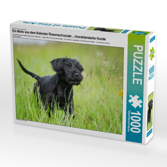 Giant Schnauzer... dogs with strong characters - CALVENDO photo puzzle 