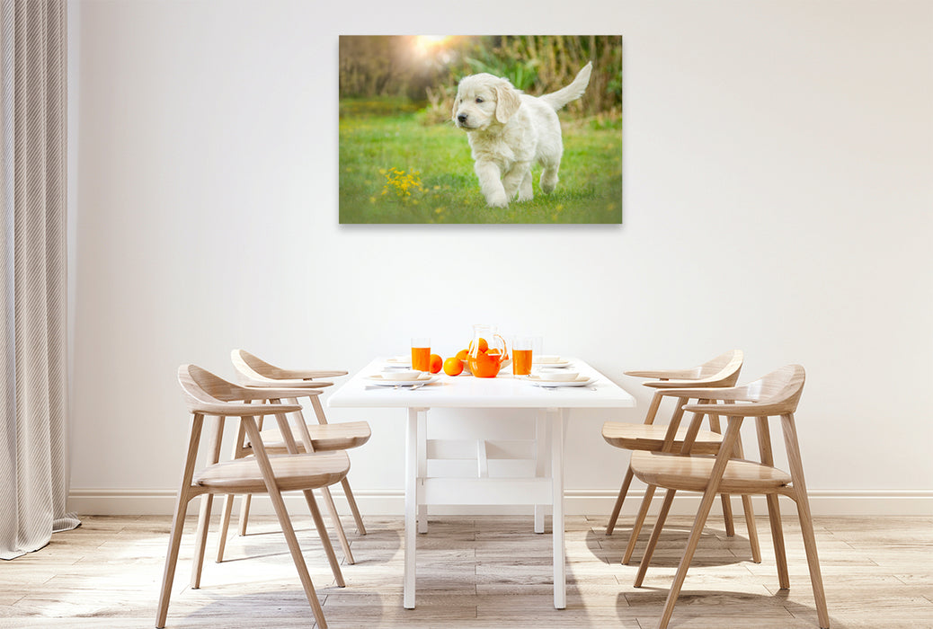 Premium Textil-Leinwand Ein Motiv aus dem Kalender Golden Retriever... Herzenshunde