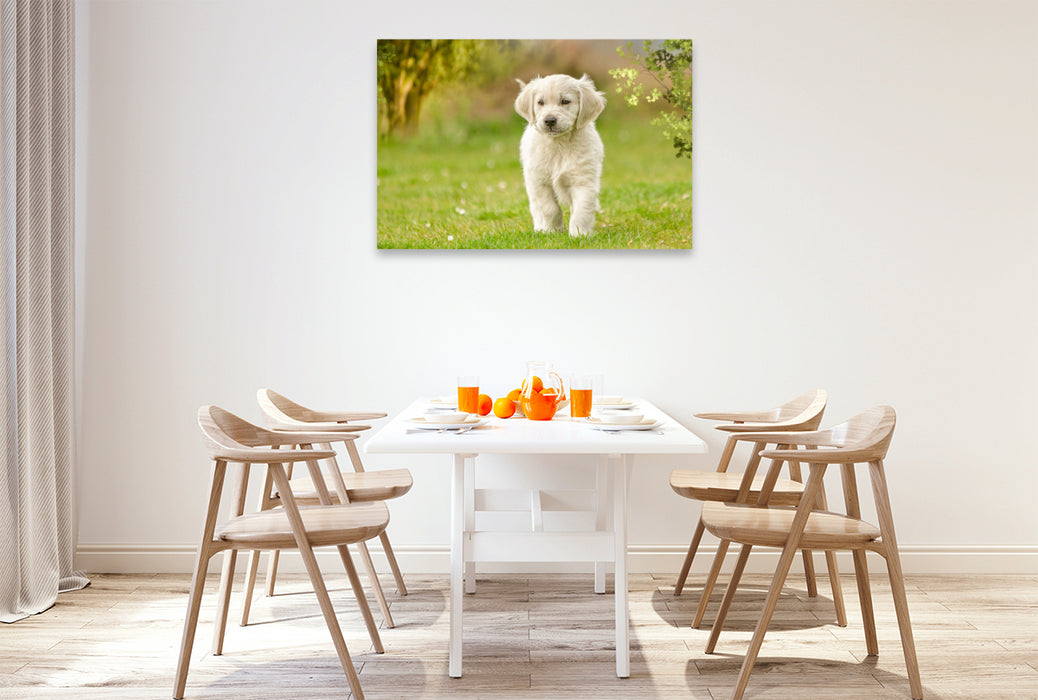 Premium Textil-Leinwand Ein Motiv aus dem Kalender Golden Retriever... Herzenshunde