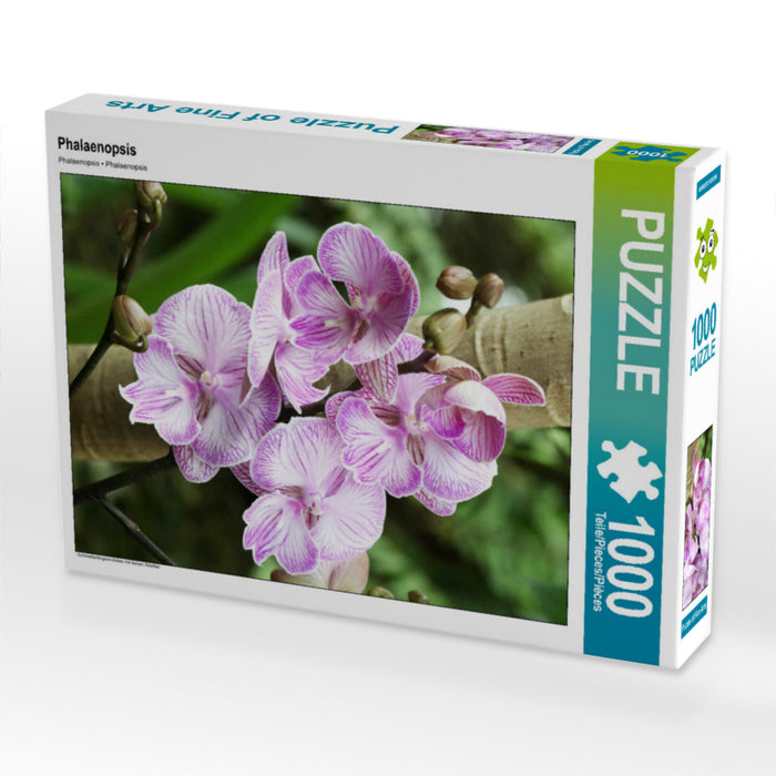 Phalaenopsis - CALVENDO photo puzzle 