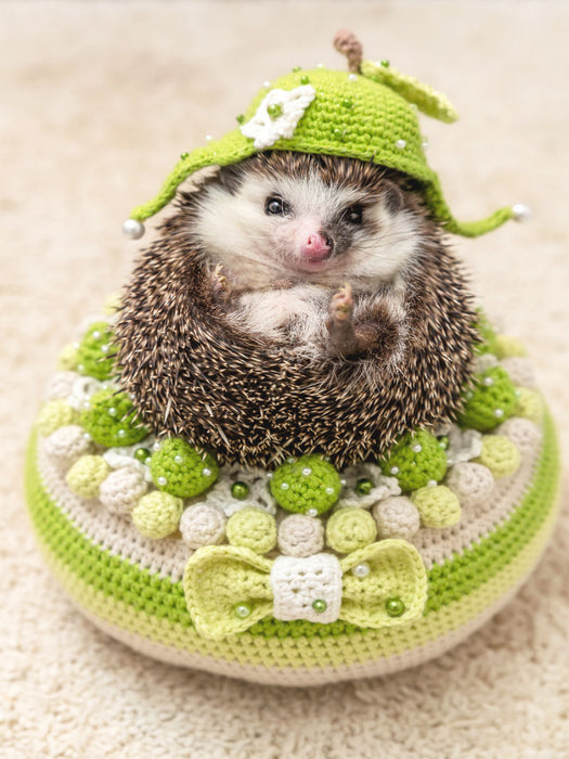 Hedgehog tart - CALVENDO photo puzzle 