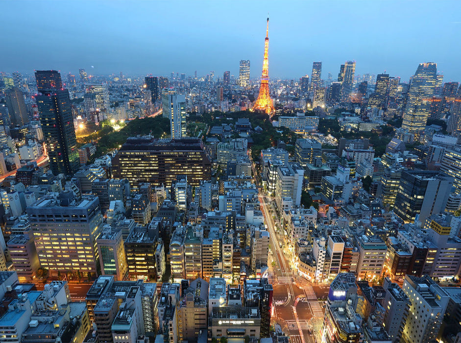 Tokio bei Nacht - CALVENDO Foto-Puzzle