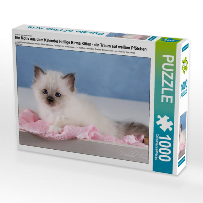 Sacred Birman Kitten - a dream on white paws - CALVENDO photo puzzle 