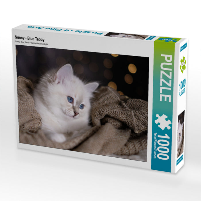 Sunny - Blue Tabby - CALVENDO photo puzzle 