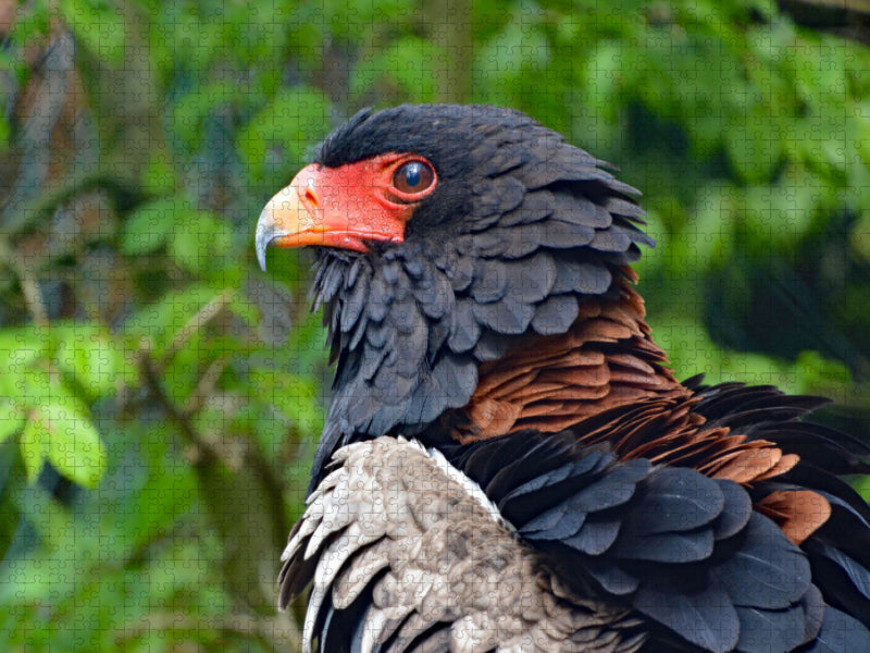 Jongleur - Puzzle photo CALVENDO 