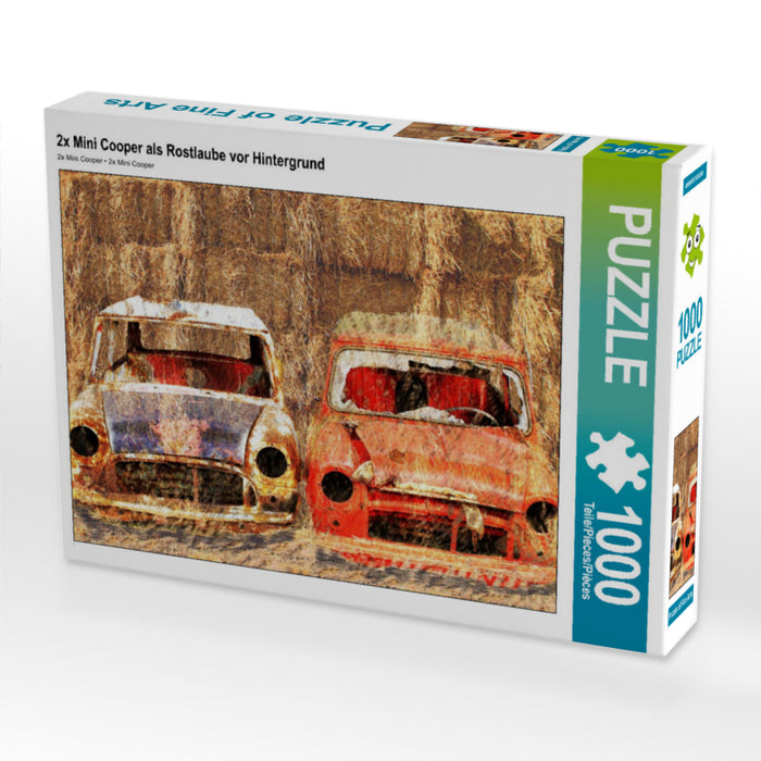 2x Mini Cooper en tonnelle rouillée devant un fond - Puzzle photo CALVENDO 