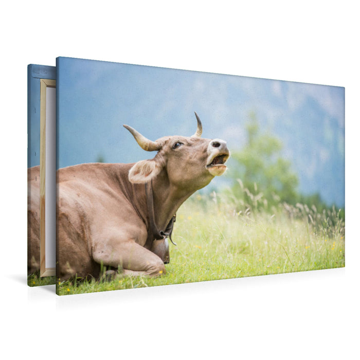 Premium textile canvas lying cow 