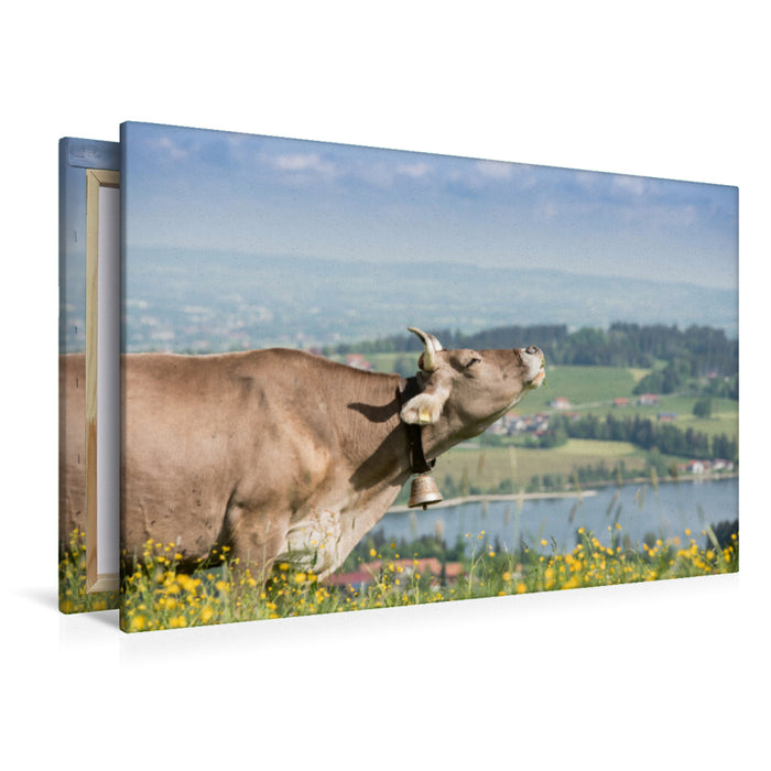 Premium textile canvas summer pasture 