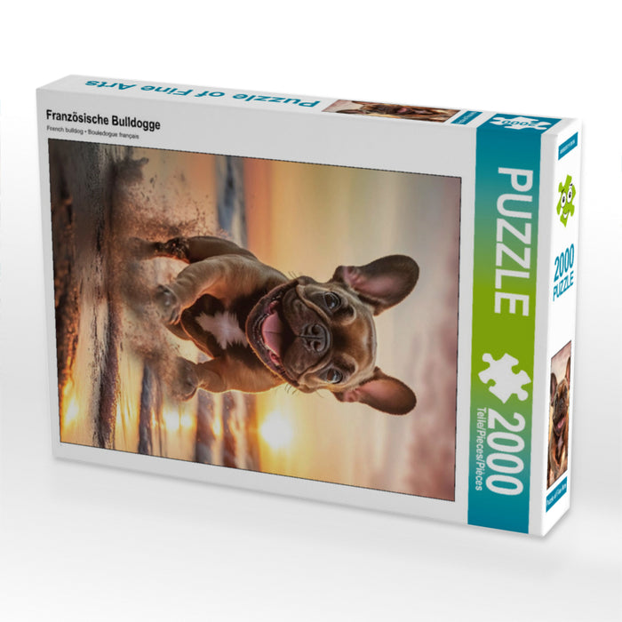 Französische Bulldogge - CALVENDO Foto-Puzzle