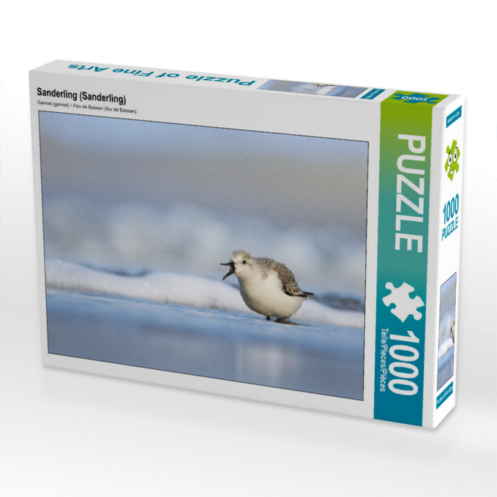 Sanderling (Sanderling) - CALVENDO Foto-Puzzle