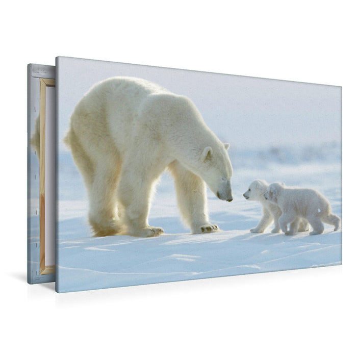 Premium textile canvas polar bear with her two cubs 
