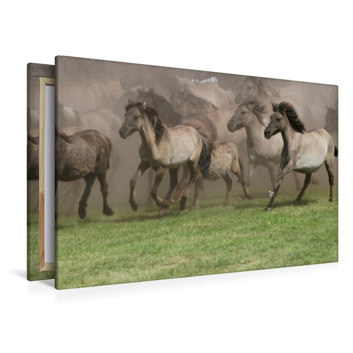 Premium textile canvas wild horses entering the arena 