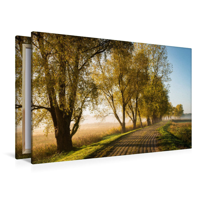 Premium textile canvas avenue in autumn 