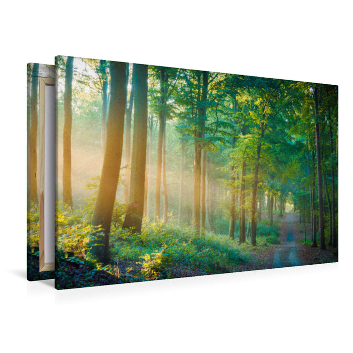 Premium Textil-Leinwand Sommer im Wald