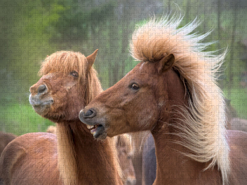 Energie - CALVENDO Foto-Puzzle'