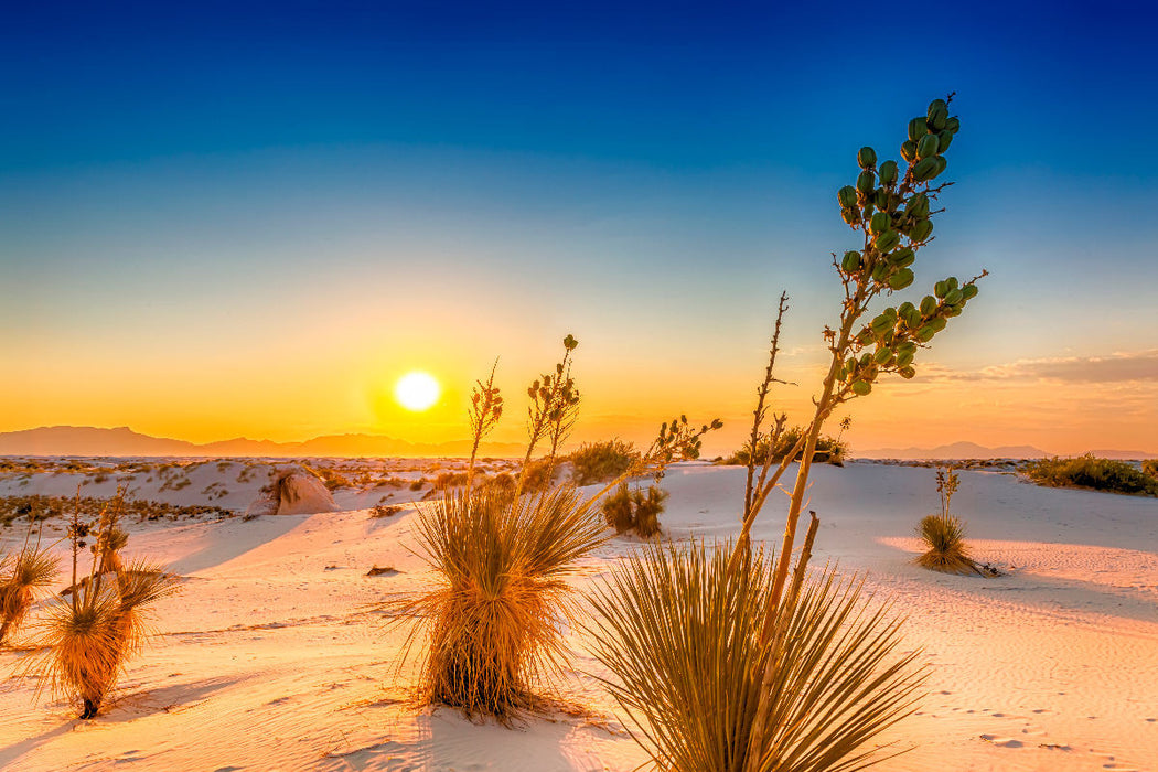 Premium Textil-Leinwand Sonnenuntergang über dem White Sands National Monument