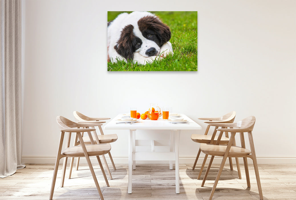 Premium textile canvas Who can resist this look? 