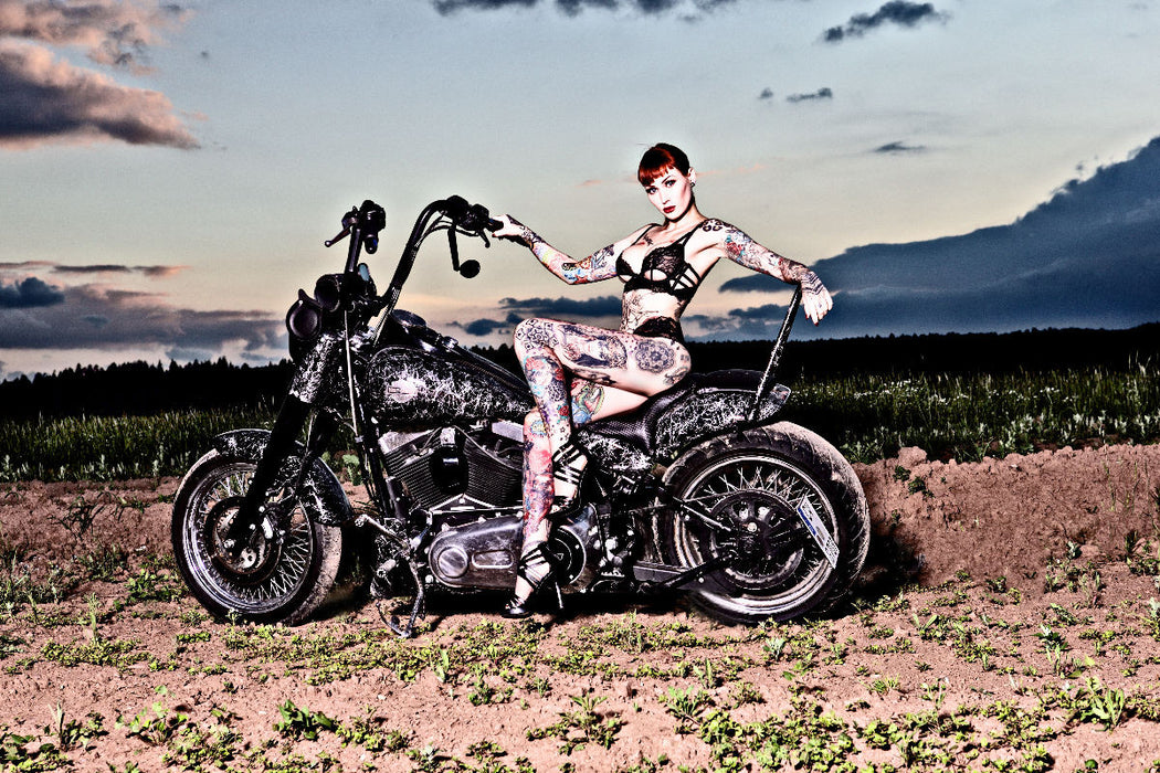 Toile textile premium Softail Slim année 2015 avec Wildcat_Ink 