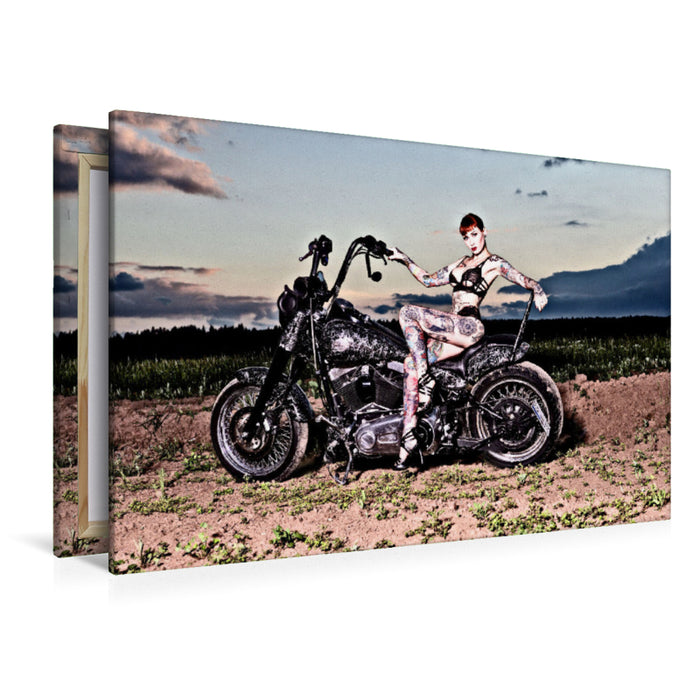 Premium Textil-Leinwand Softail Slim Bj.2015 mit Wildcat_Ink