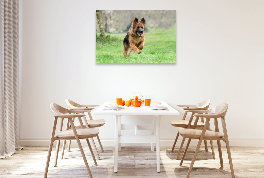 Premium textile canvas German Shepherd 