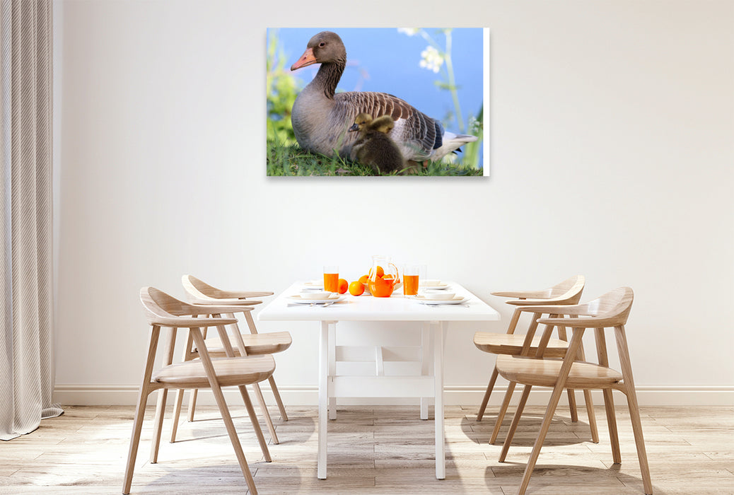 Premium textile canvas Mama Gray Goose has very soft and warm feathers for cuddling. You can sleep well here. 