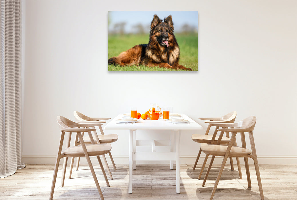 Premium textile canvas Beautiful German Shepherd male 