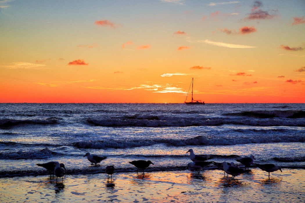 Premium textile canvas Sunset on Norderney's northern beach 