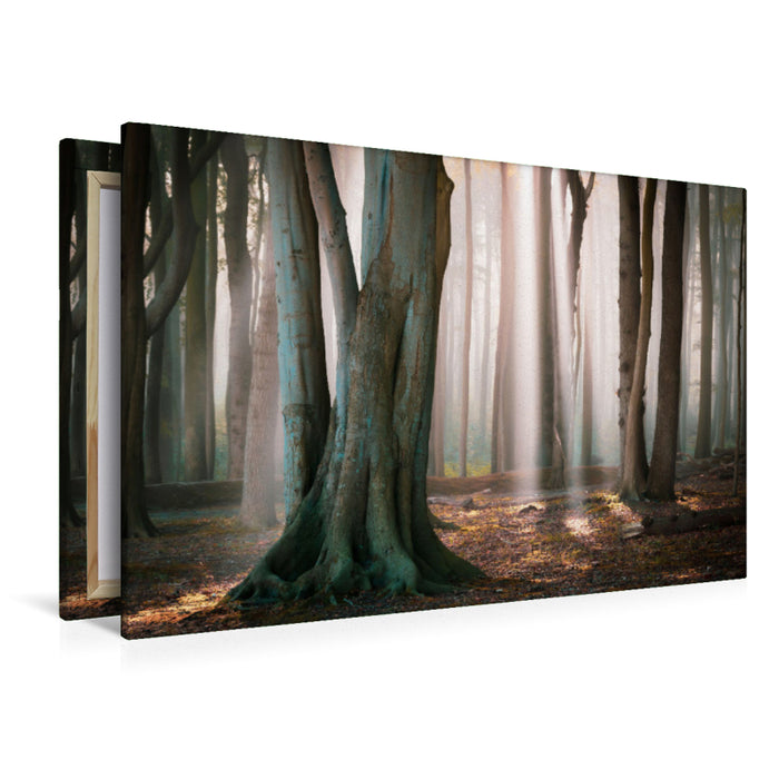 Premium textile canvas ghost forest in Nienhagen 