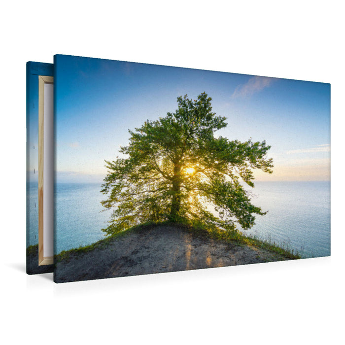 Premium textile canvas Sunrise on the chalk coast 