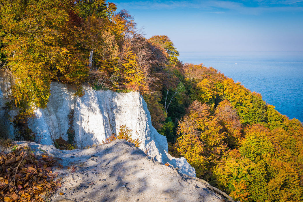 Premium Textil-Leinwand Blick vom Königsstuhl