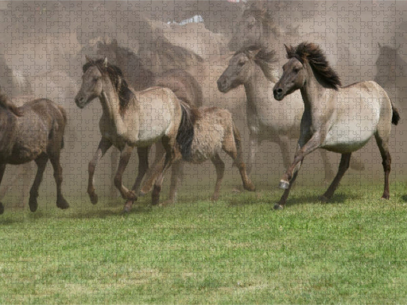 Wildpferde beim Einlauf in die Arena - CALVENDO Foto-Puzzle'