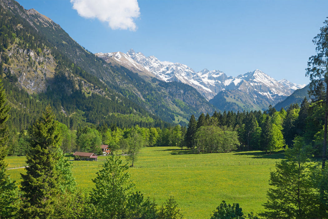 Premium textile canvas view of the Stillachtal 