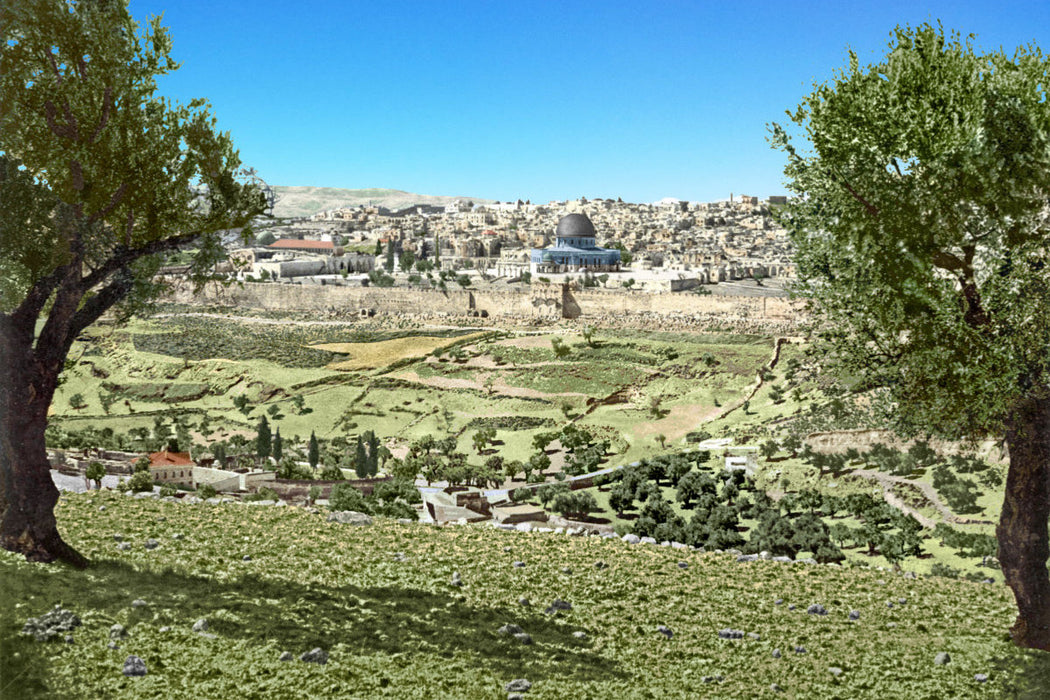 Premium Textil-Leinwand Heiliges Land – Jerusalem vom Berg Gethsemane aus um 1900