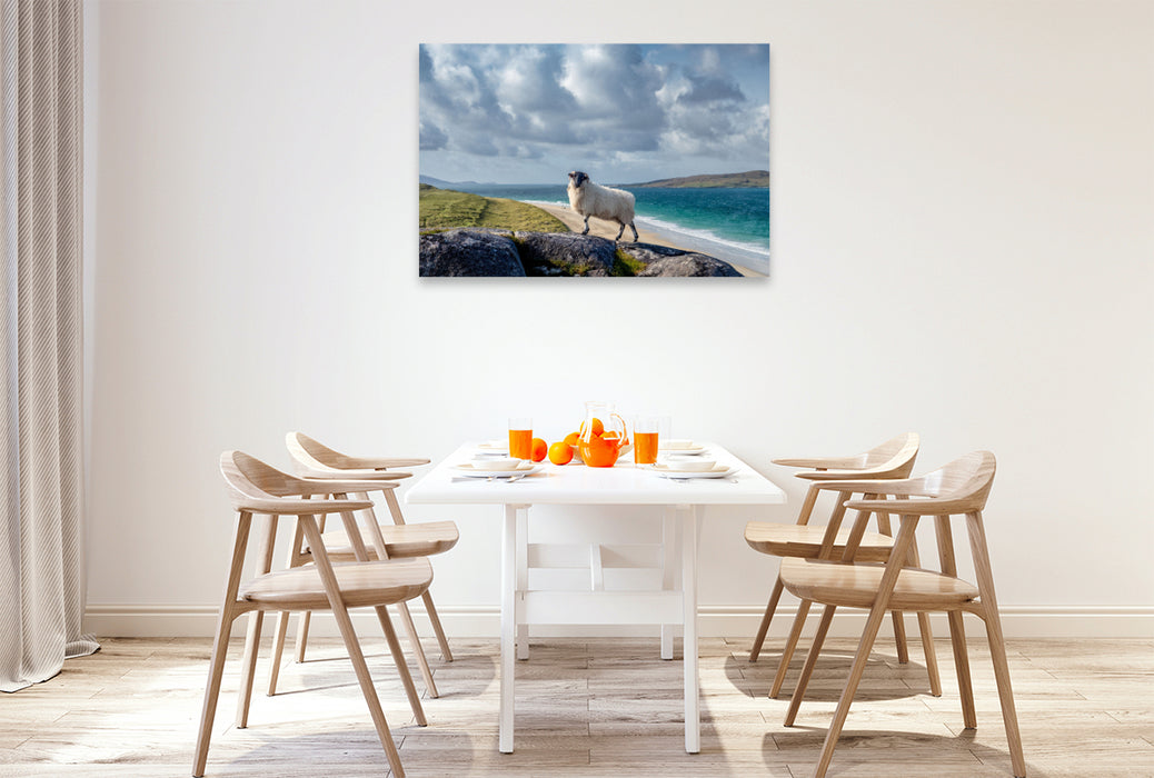 Premium Textil-Leinwand Luskentyre Beach, Schafportrait